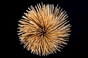 abstract spagetti